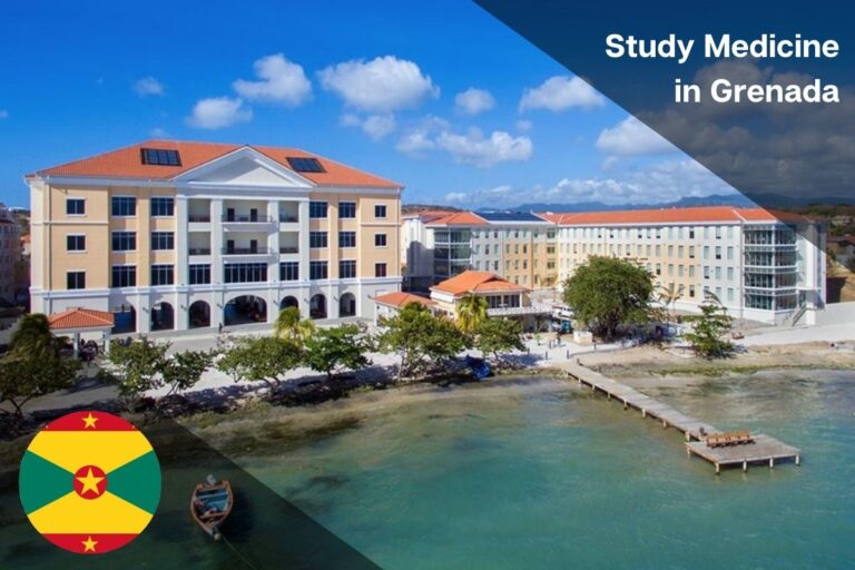 Read more about the article Study Medicine in Grenada
