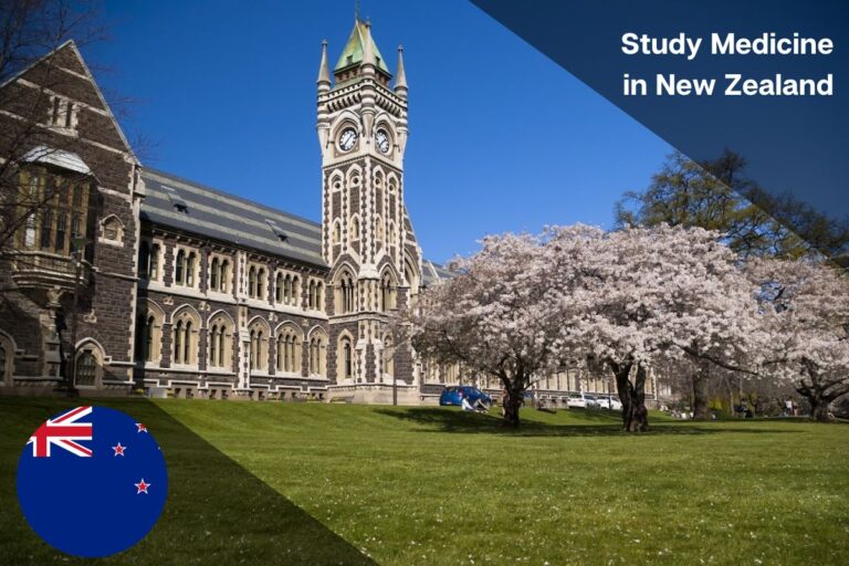 Read more about the article Study Medicine in New Zeeland